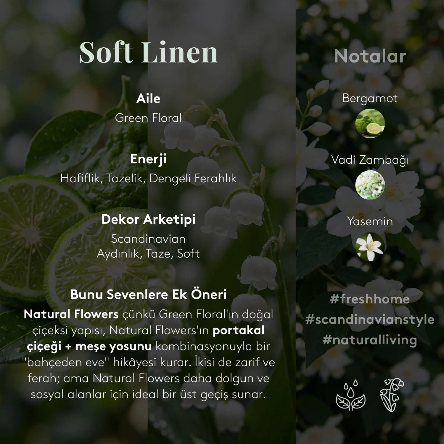 Chakra Soft Linen El Kremi 30 ml | Bergamot ve Yasemin Notalı Nemlendirici El Kremi