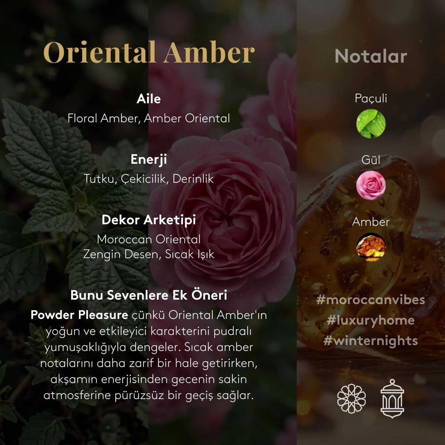 Chakra Oriental Amber El Kremi 30 ml | Amber ve Gül Notalı Nemlendirici El Kremi