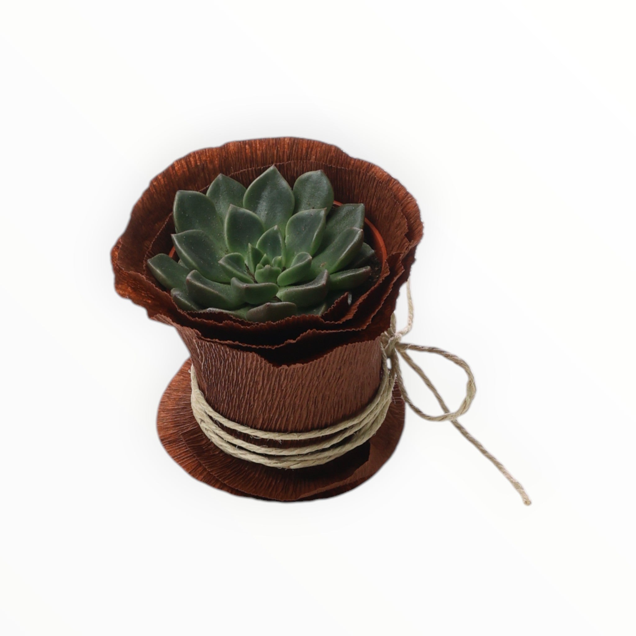 Yeni İşinde Başarılar- Dünya Küre Saat