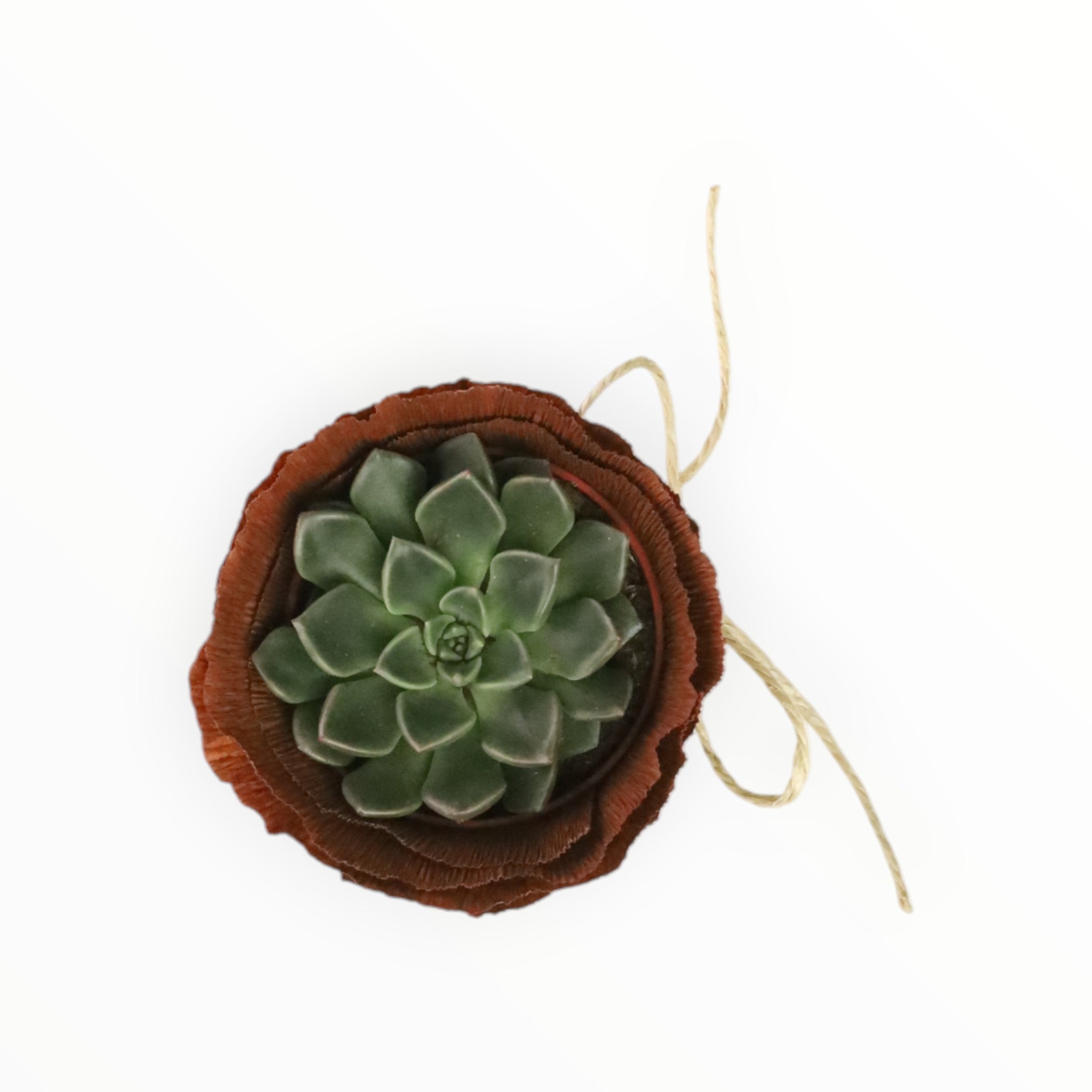 Uzun Hikâye Hediye Kutusu